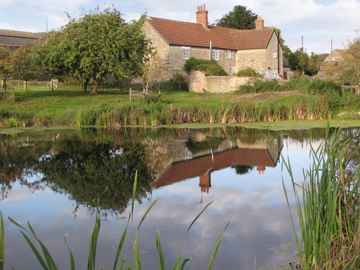 Old Orchard Cottage Haydon Экстерьер фото