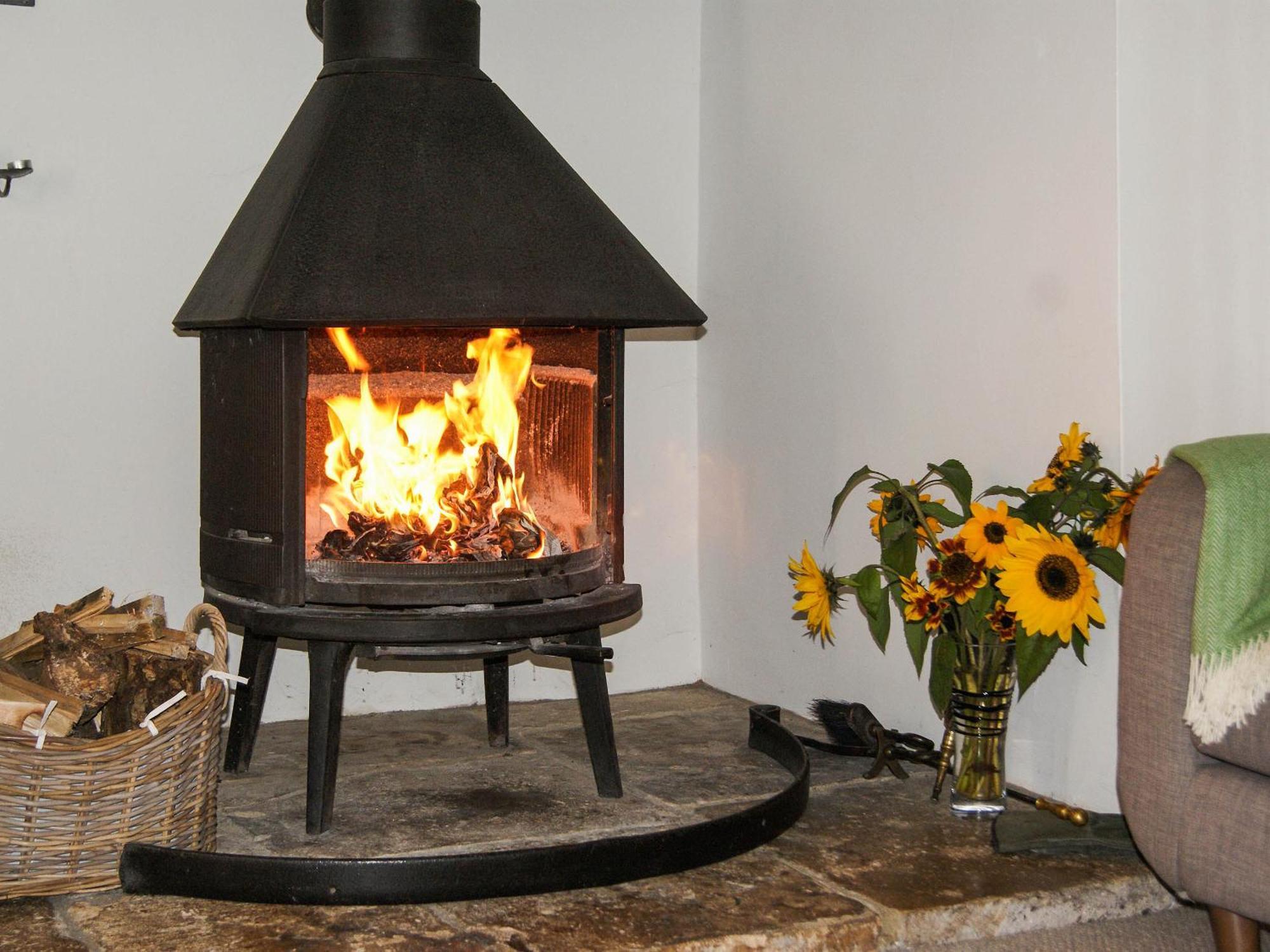 Old Orchard Cottage Haydon Экстерьер фото